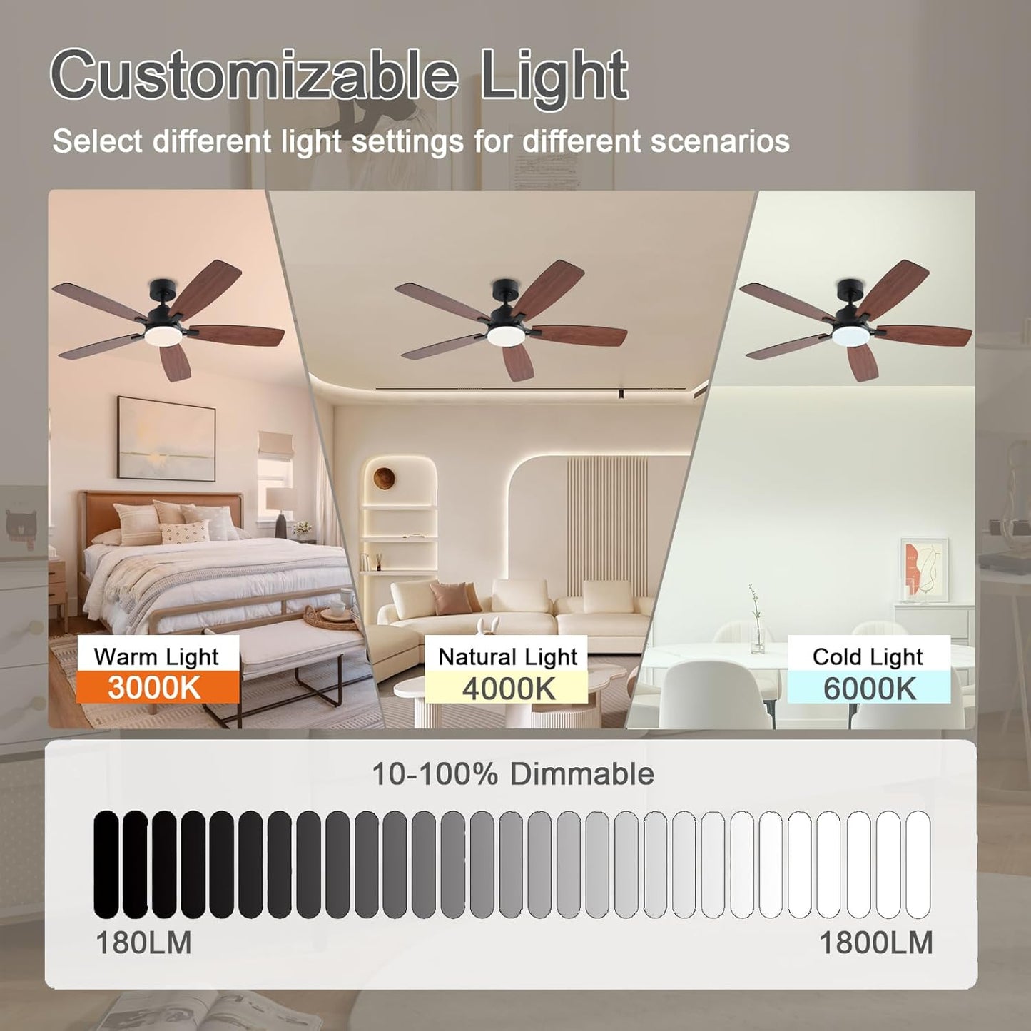 Ceiling Fan SY54