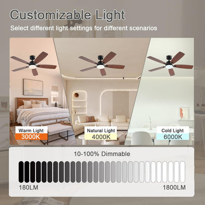Ceiling Fan SY54