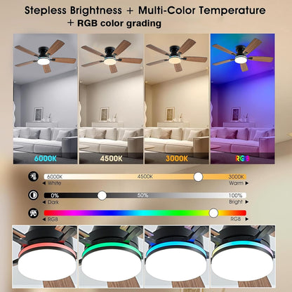 Ceiling Fan SY-62