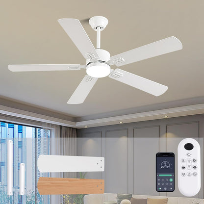 Ceiling Fan SY39