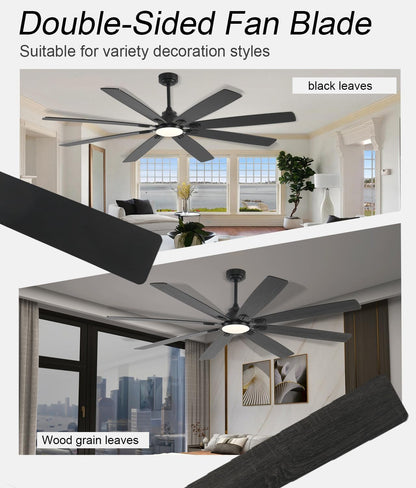 Ceiling Fan JL-89
