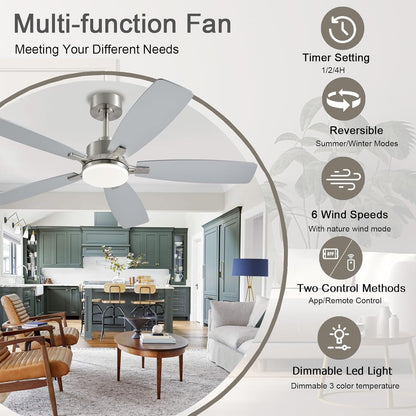Ceiling Fan SY54