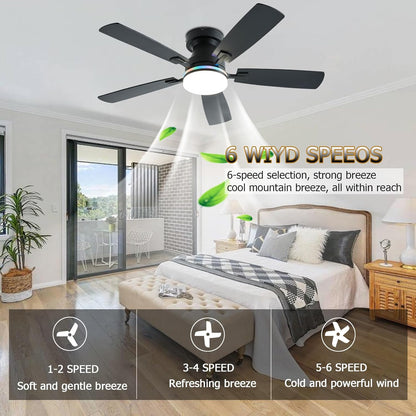 Ceiling Fan SY-62