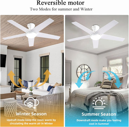 Ceiling Fan 78-48