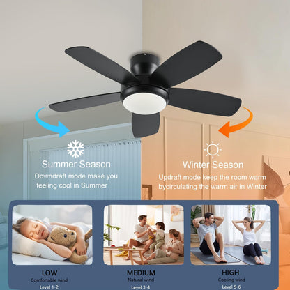 Ceiling Fan SY56