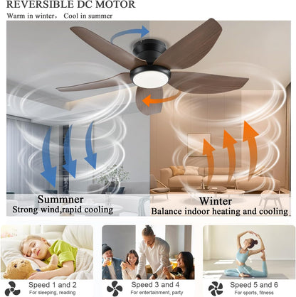 Ceiling Fan GJ-55
