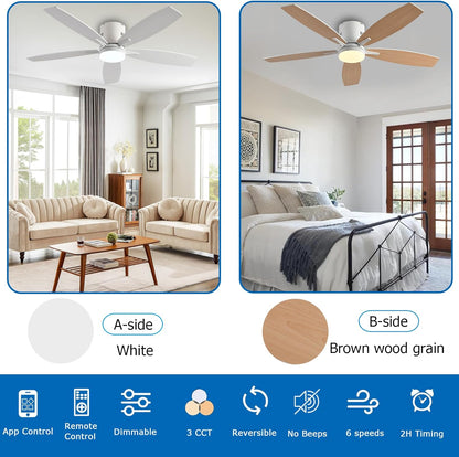 Ceiling Fan SY32