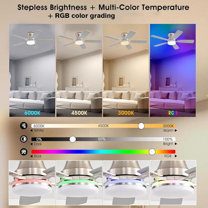 Ceiling Fan SY-62