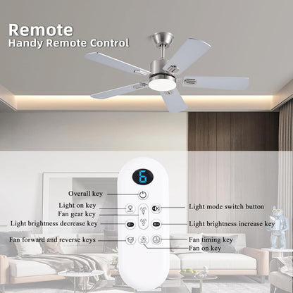 Ceiling Fan SY39