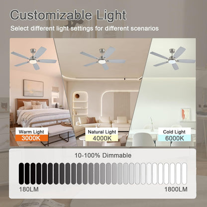 Ceiling Fan SY54
