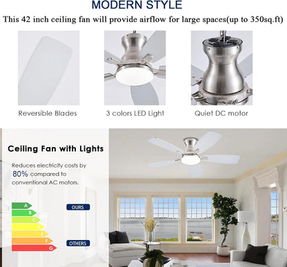 Ceiling Fan JL-66
