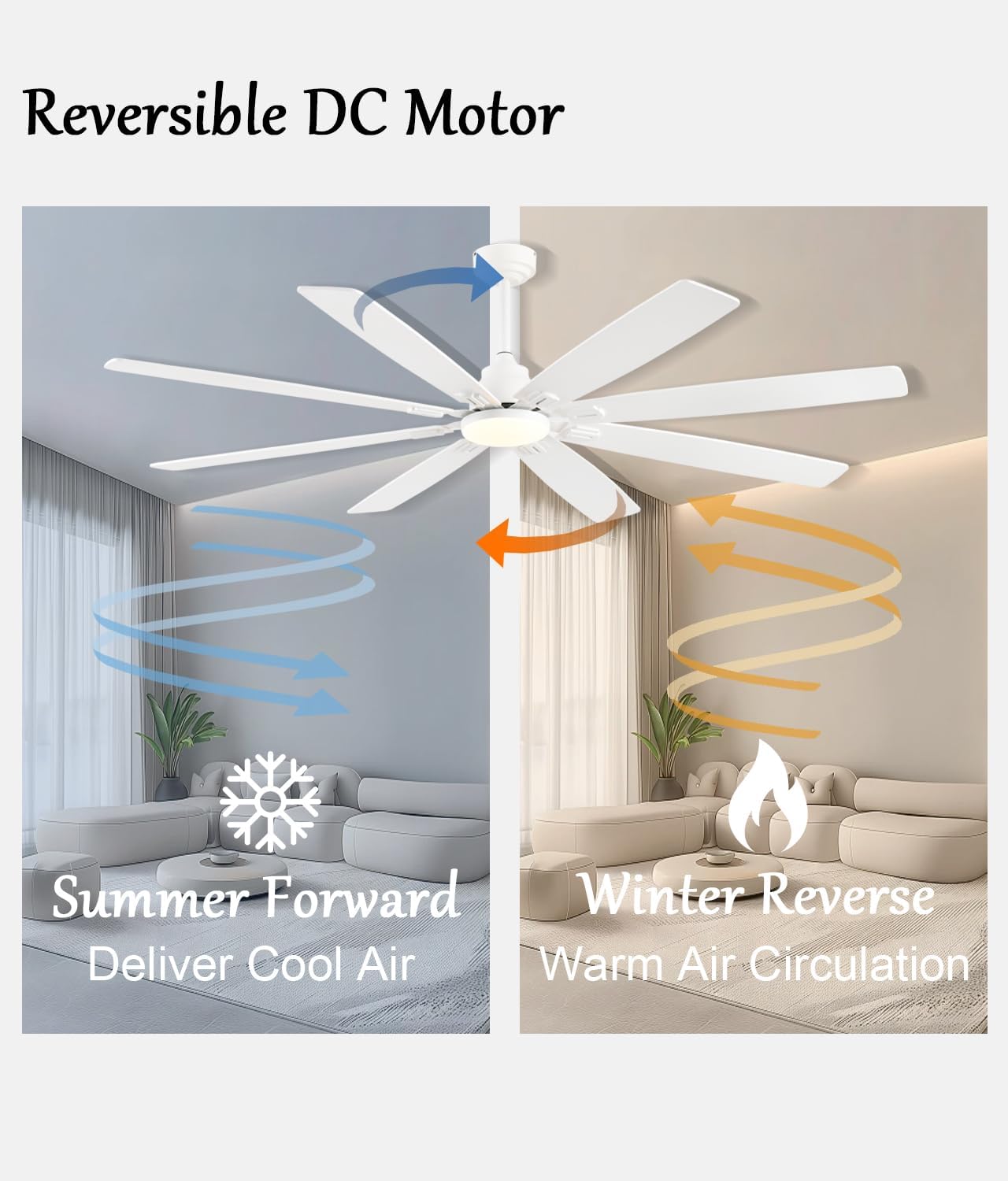 Ceiling Fan JL-89