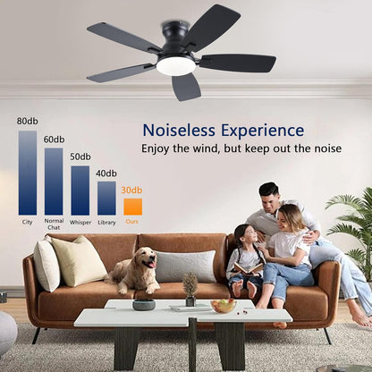 Ceiling Fan JL-66
