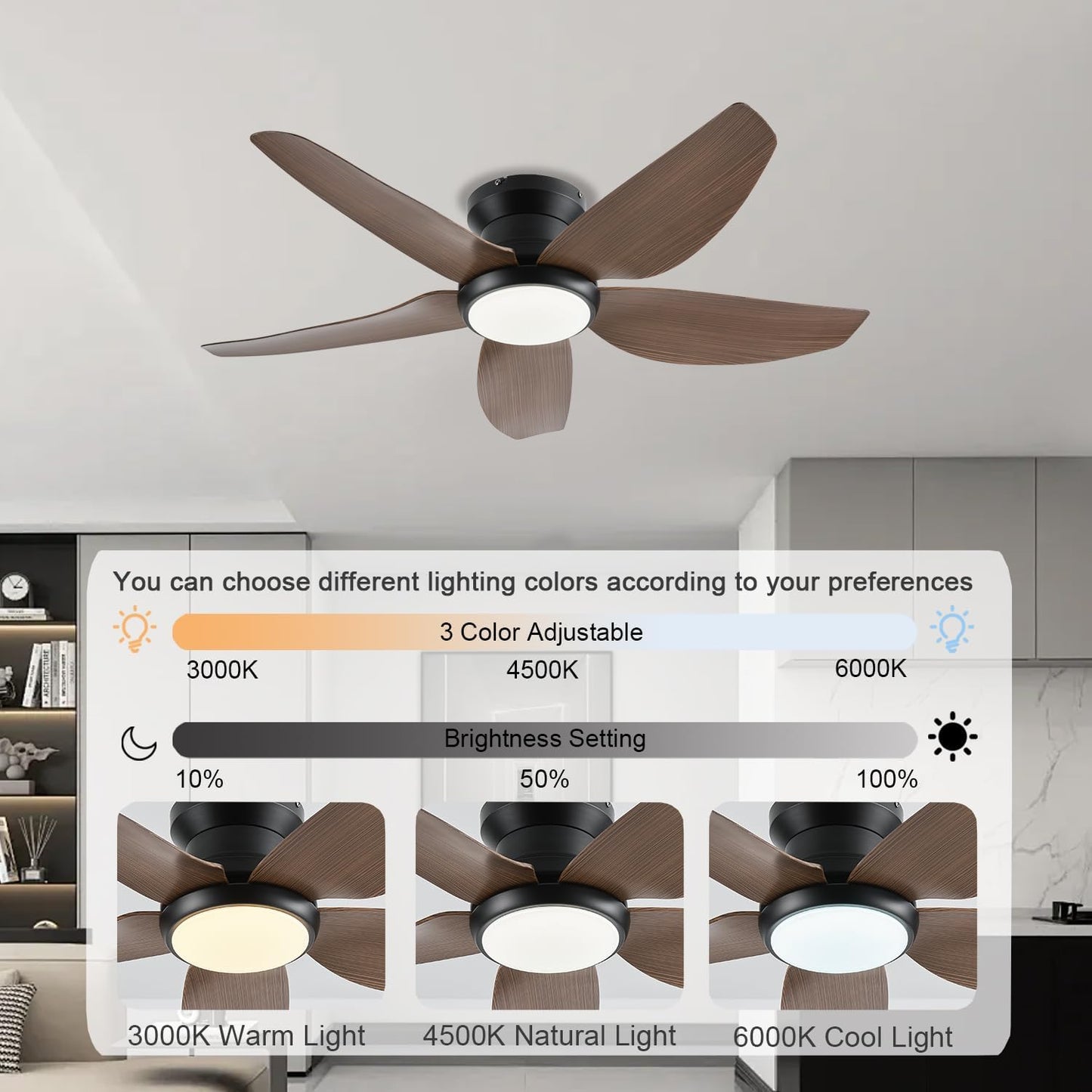 Ceiling Fan GJ-55