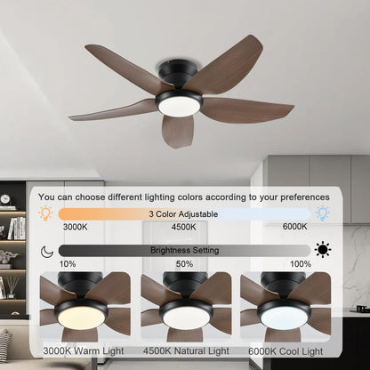 Ceiling Fan GJ-55