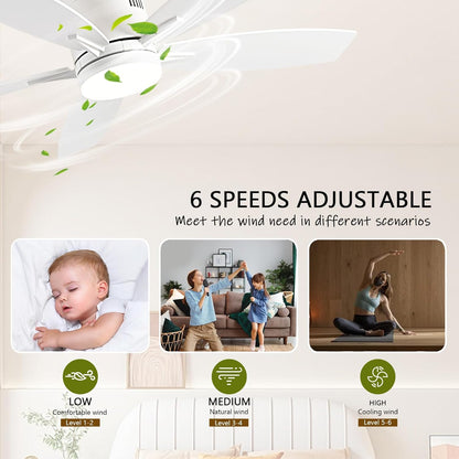 Ceiling Fan SY-81