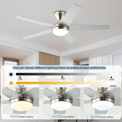 Ceiling Fan 78-48