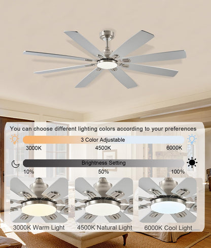 Ceiling Fan JL-89