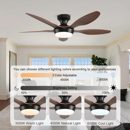 Ceiling Fan Gg-72
