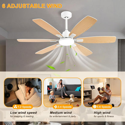 Ceiling Fan SY-86