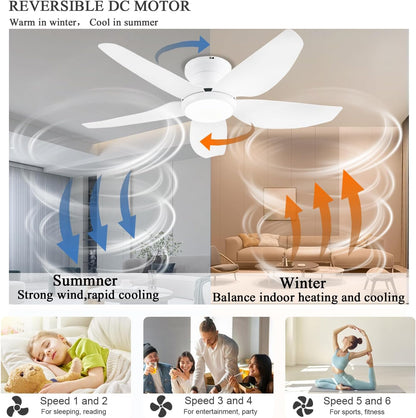 Ceiling Fan GJ-55