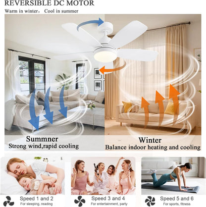 Ceiling Fans with Lights, Low Profile Indoor/Outdoor Use 42 Inch