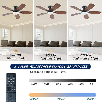 Ceiling Fan JL-66