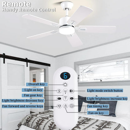 Ceiling Fan SY39