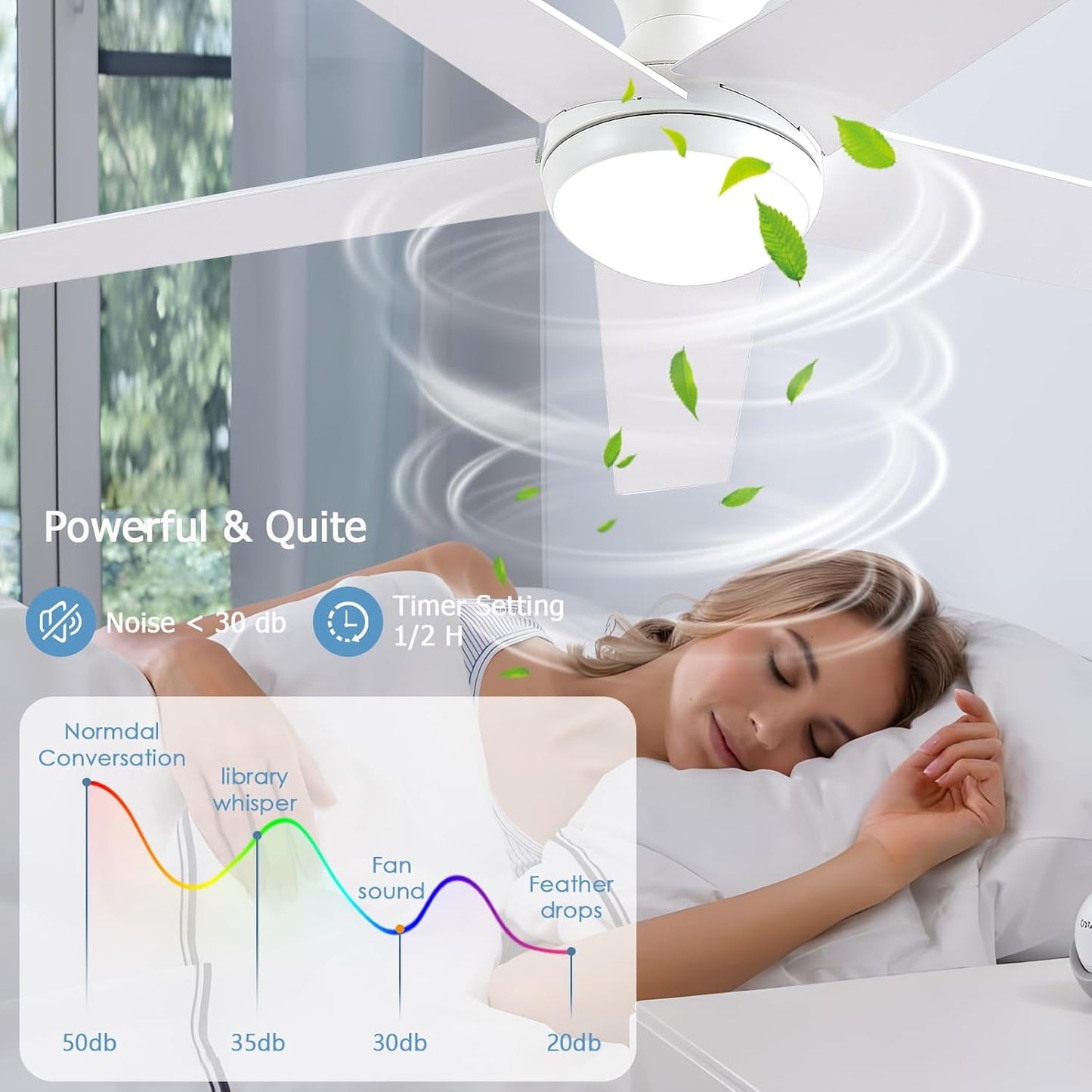 Ceiling Fan 78-48