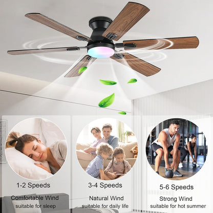 Ceiling Fan SY93