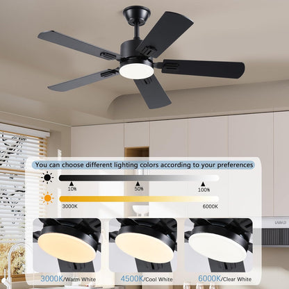 Ceiling Fan SY39
