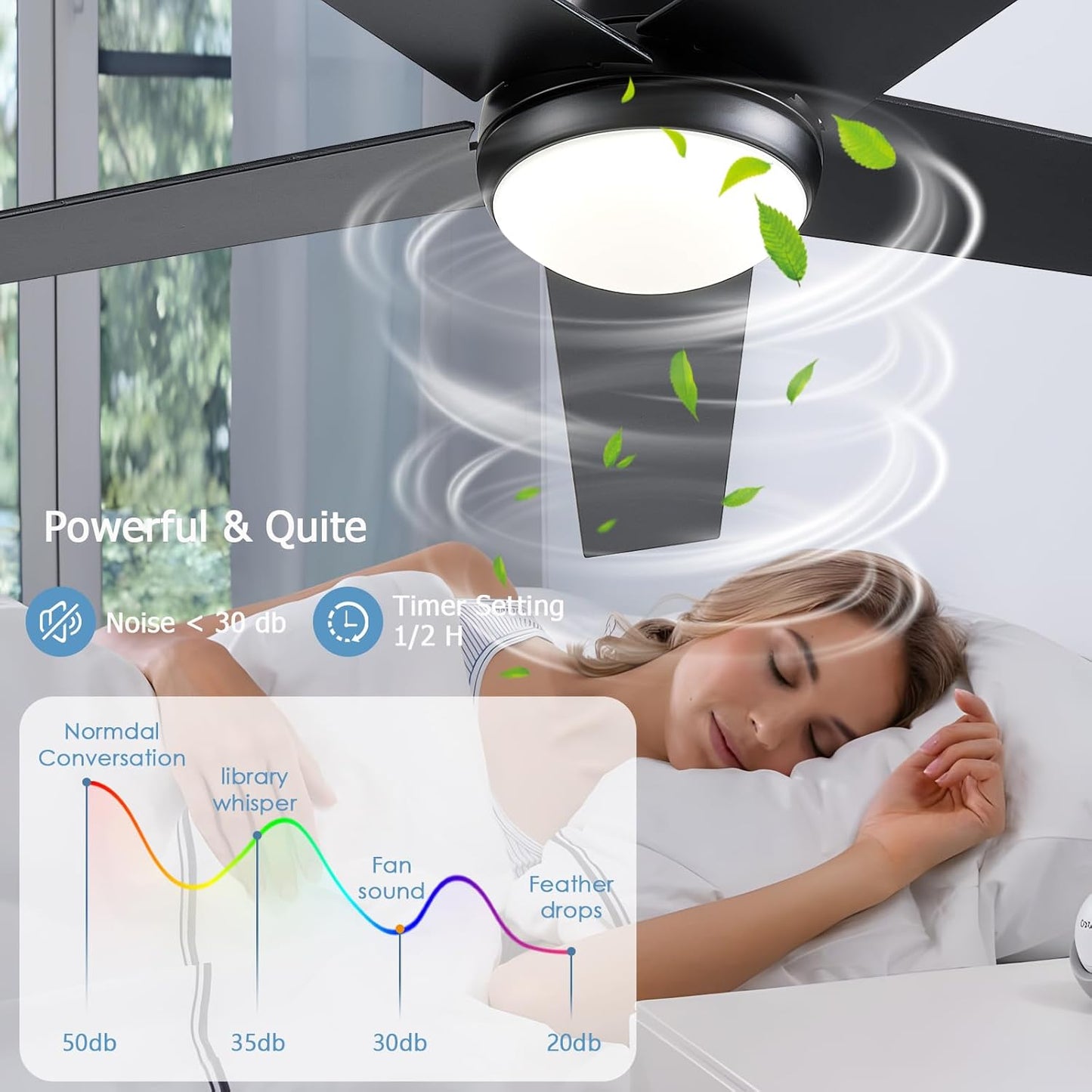 Ceiling Fan 78-48