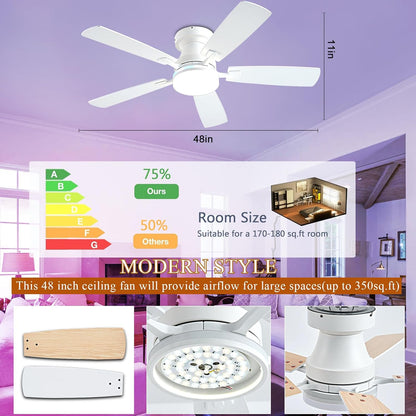 Ceiling Fan SY-62