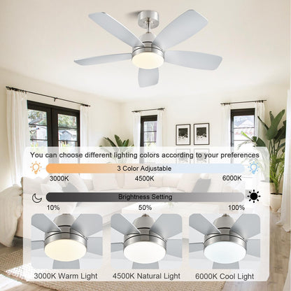 Ceiling Fans with Lights, Low Profile Indoor/Outdoor Use 42 Inch