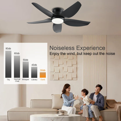 Ceiling Fan GJ-55