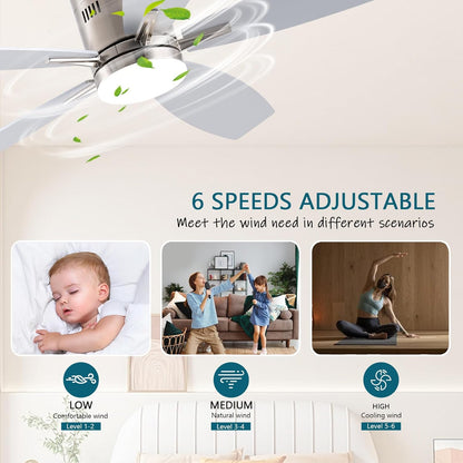 Ceiling Fan SY-81