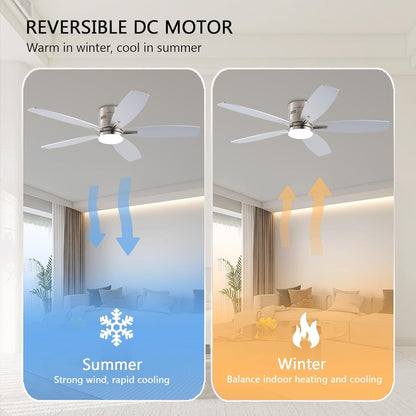 Ceiling Fan SY-81