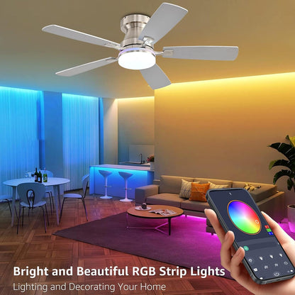 Ceiling Fan SY-62