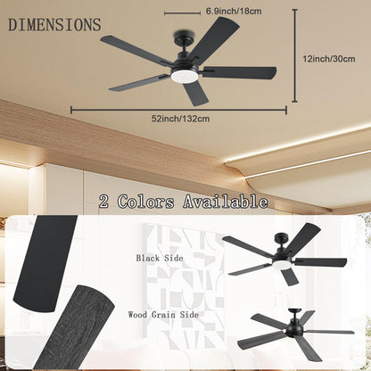 Ceiling Fan JL-53
