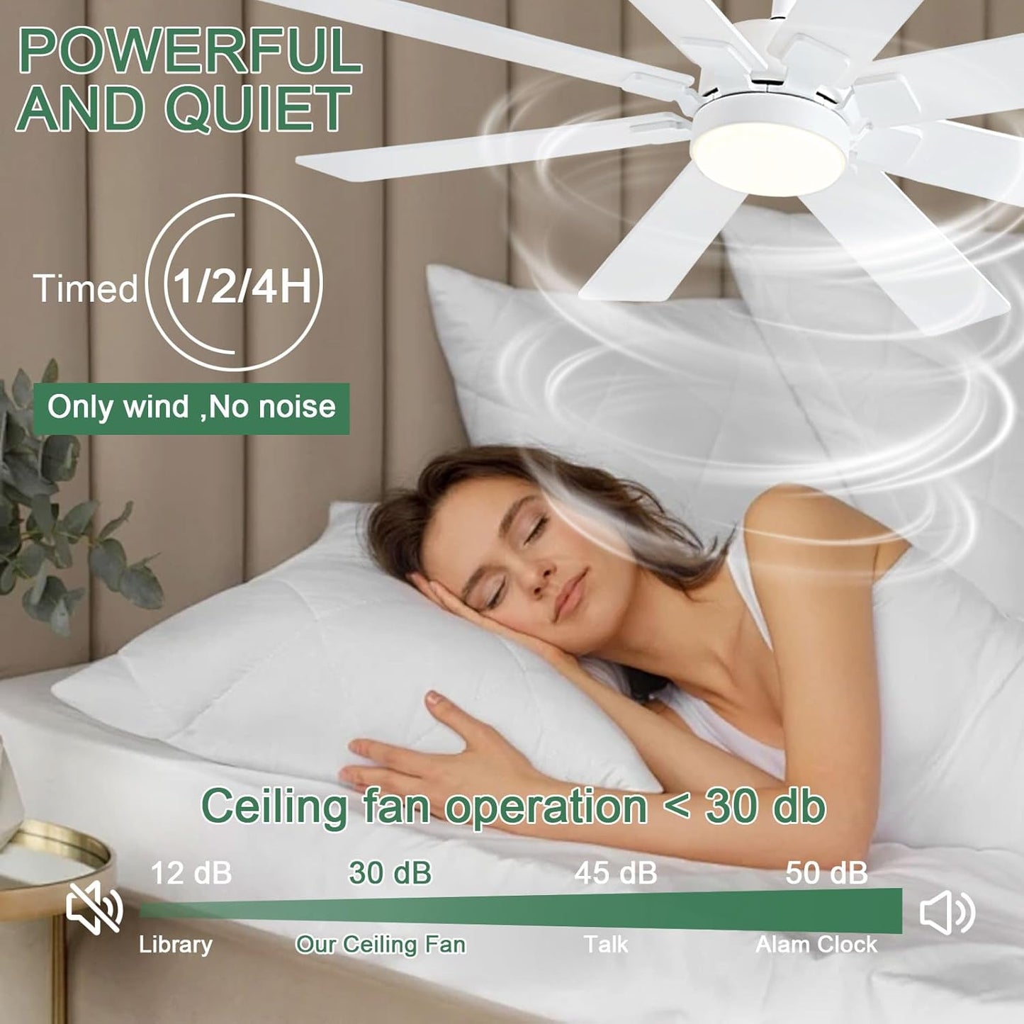 Ceiling Fan SY63