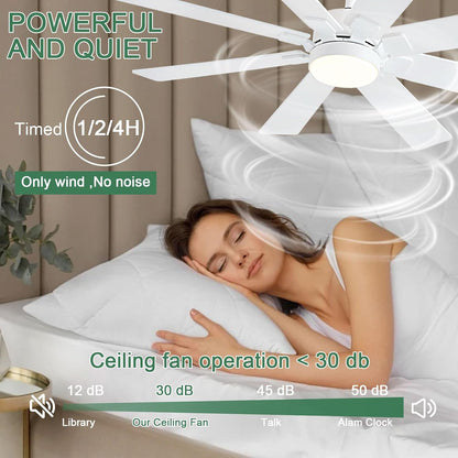 Ceiling Fan SY63