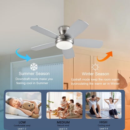 Ceiling Fan SY56