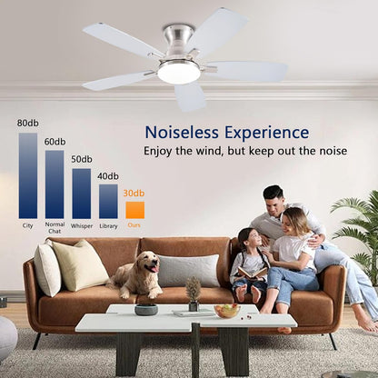 Ceiling Fan JL-66
