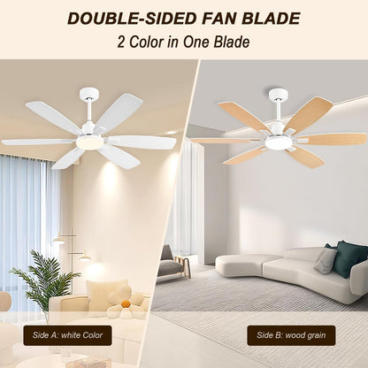 Ceiling Fan SY-86