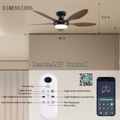 Ceiling Fan Gg-72