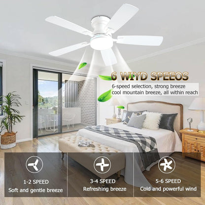 Ceiling Fan SY-62