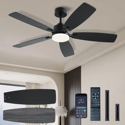 Ceiling Fan SY54