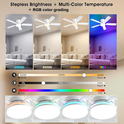 Ceiling Fan SY-62