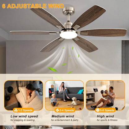 Ceiling Fan SY-86
