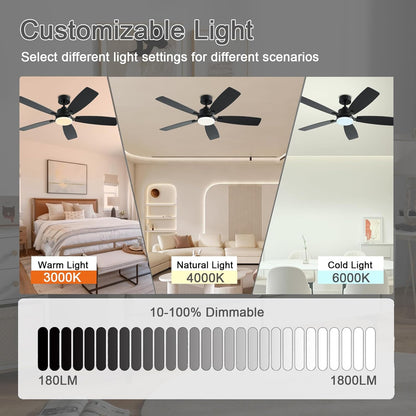 Ceiling Fan SY54